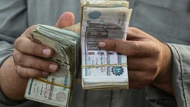 زيادة المعاشات