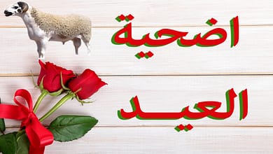 أضحية