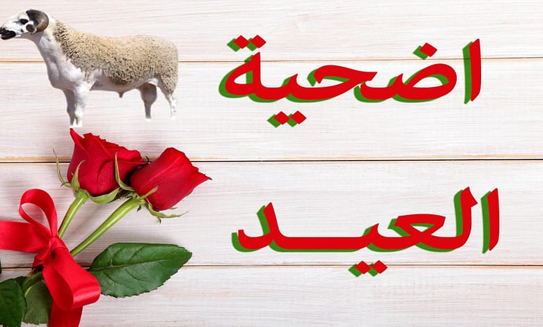 أضحية
