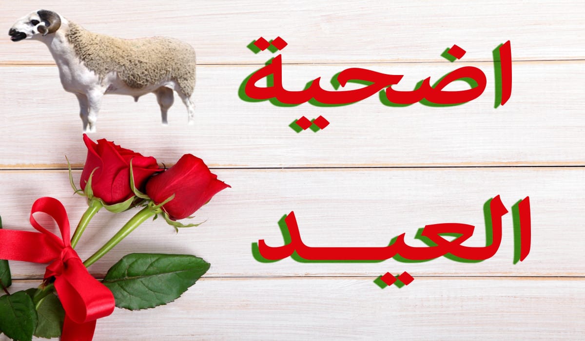 أضحية