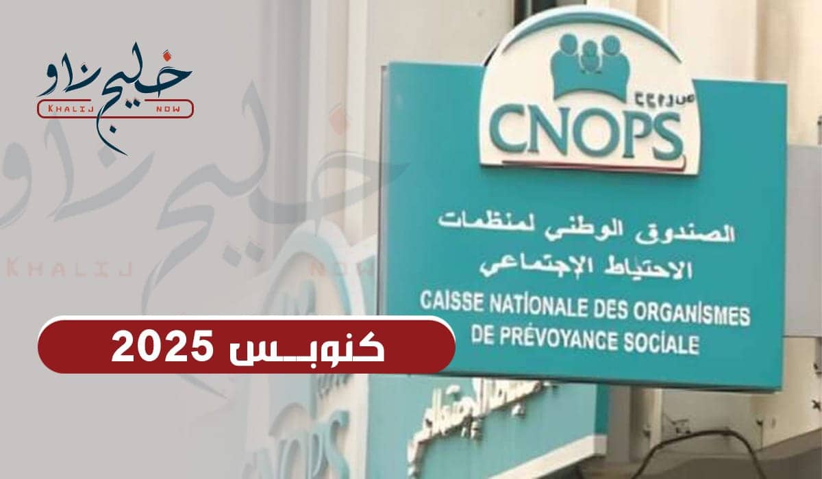 كنوبس 2025