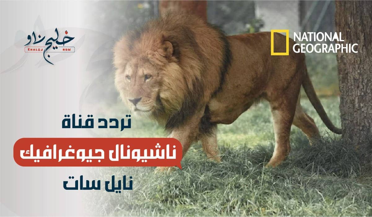 تردد قناة ناشيونال جيوغرافيك نايل سات