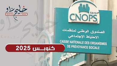 كنوبس 2025