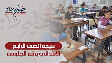 استعلم الآن "من هنــا".. طريقة الاستعلام عن نتيجة الصف الرابع الابتدائي 2025 برقم الجلوس