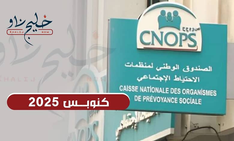 كنوبس 2025